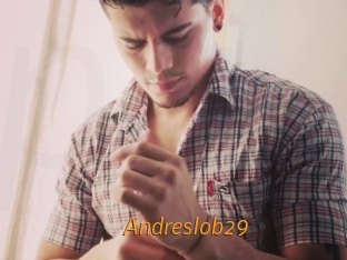 Andreslob29