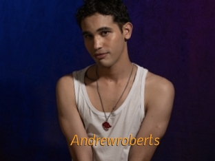 andrewroberts Porn University