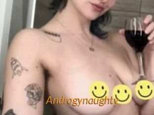 Androgynaughty