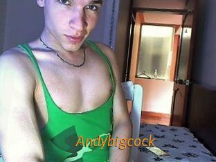 Andybigcock