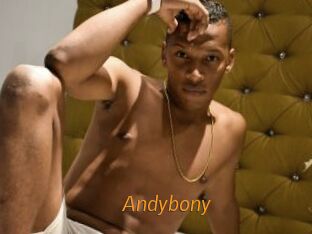 Andybony