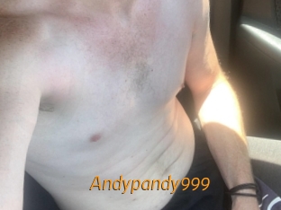 Andypandy999