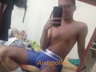 Andypolla