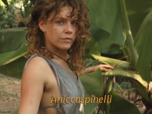 Aniccaspinelli