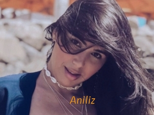 Aniliz