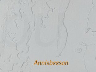 Annisbeeson