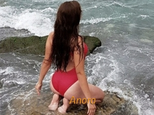 anora Porn University