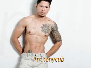Anthonycub