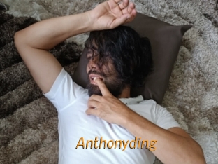 anthonyding Porn University
