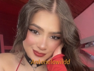 Antonelawildd