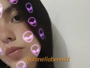 antonellabennett Porn University