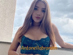Antonellabrandm