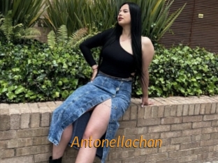 Antonellachan