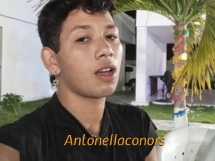 Antonellaconors