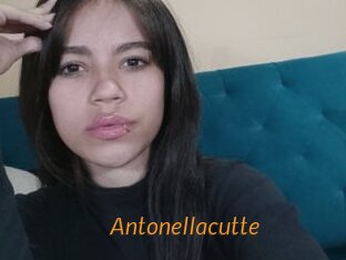 antonellacutte Porn University