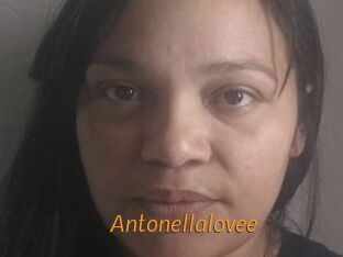 Antonellalovee