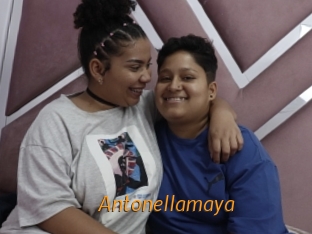 Antonellamaya