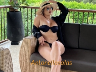 antonellasalas Porn University