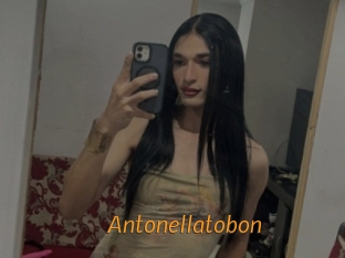 Antonellatobon