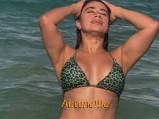 Antonellla