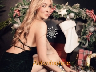 antoniaarose Porn University