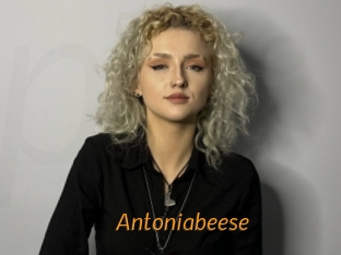 Antoniabeese
