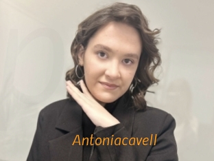 Antoniacavell