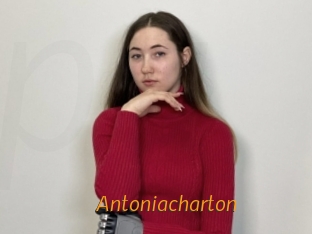 Antoniacharton