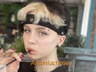 Antoniachasey