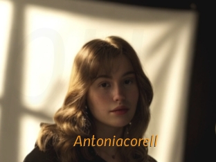 Antoniacorell
