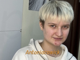 Antoniacowick