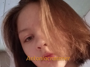 Antoniacrammer
