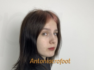 Antoniacrofoot