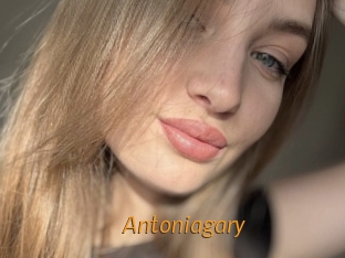 Antoniagary
