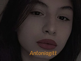 Antoniagitt