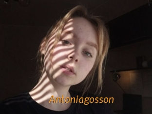 Antoniagosson