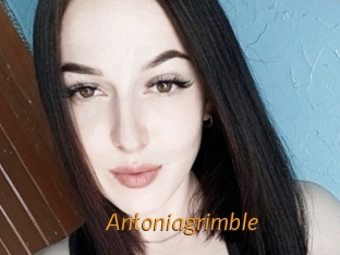 Antoniagrimble