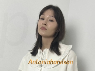 Antoniaharvison