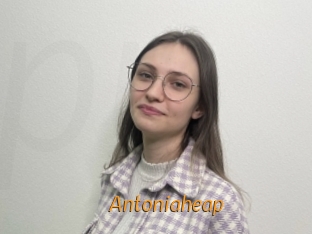 Antoniaheap