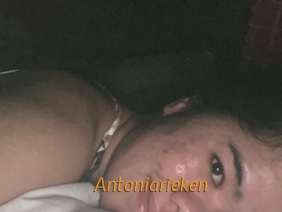 Antoniarieken