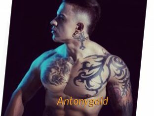 Antonygold