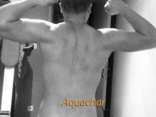 Aquachar