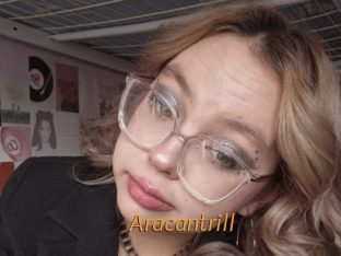 Aracantrill