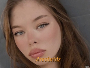 Areabridz