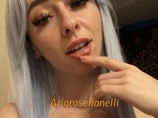 Ariarosellanelli