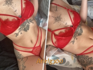 Arielg300