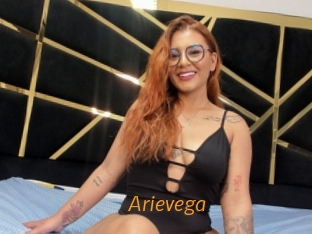 Arievega