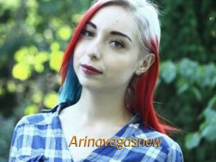 Arinavegasnew