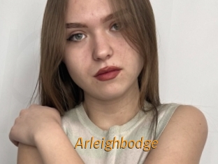 Arleighbodge