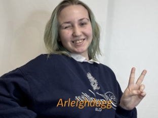 Arleighdagg